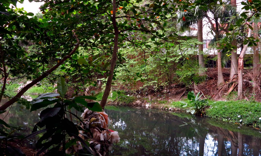 Este trecho de río pasa por la parte trasera del Palacio de Convenciones (Foto: Geisy Guia)