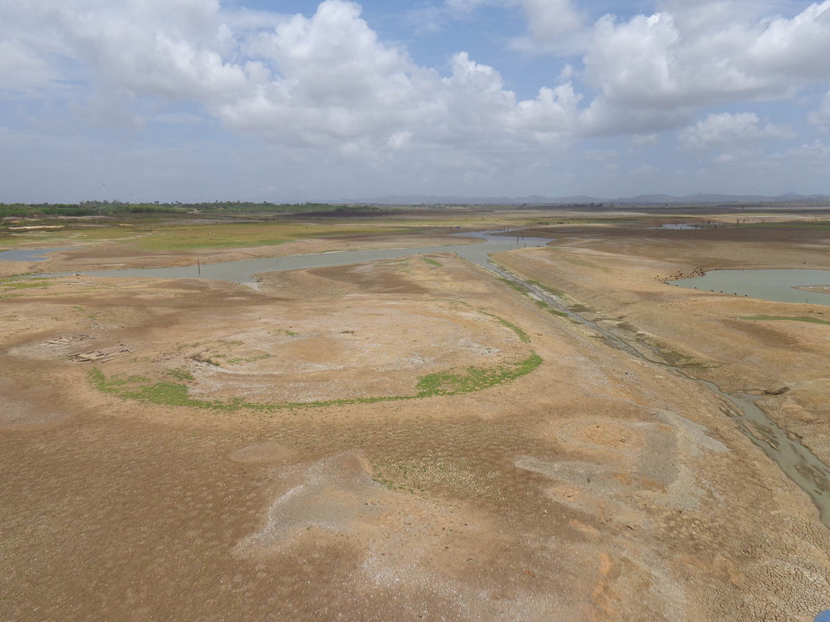 Efectos de la sequía en embalses dedicados al cultivo de arroz en Pinar del Río (Foto: Periodismo de Barrio)