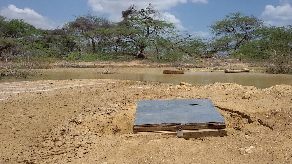 Una de las casimbas, en el jagüey (Foto: Mónica Baró)