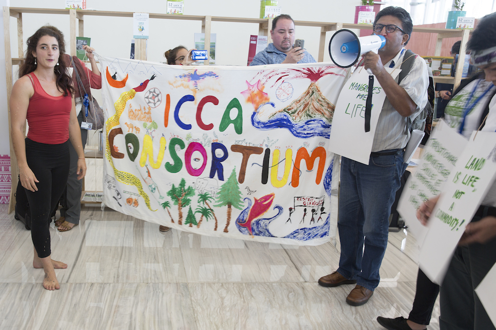 Los Pueblos Indígenas participaron en un "evento flash" durante la COP 13 (Foto: IISD)