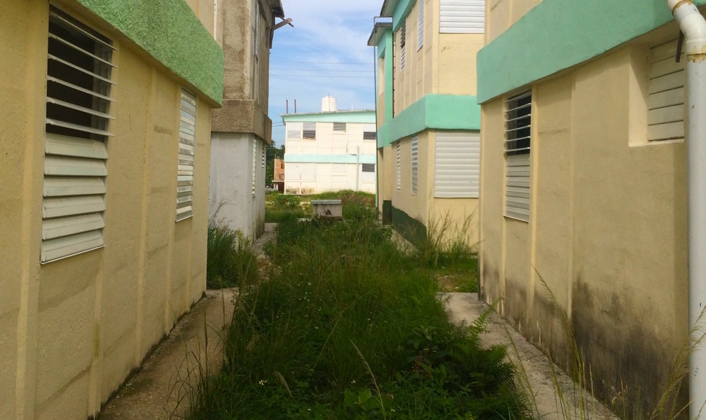 La humedad en las paredes es uno de los problemas de las viviendas en esta urbanización (Foto: Elaine Díaz)