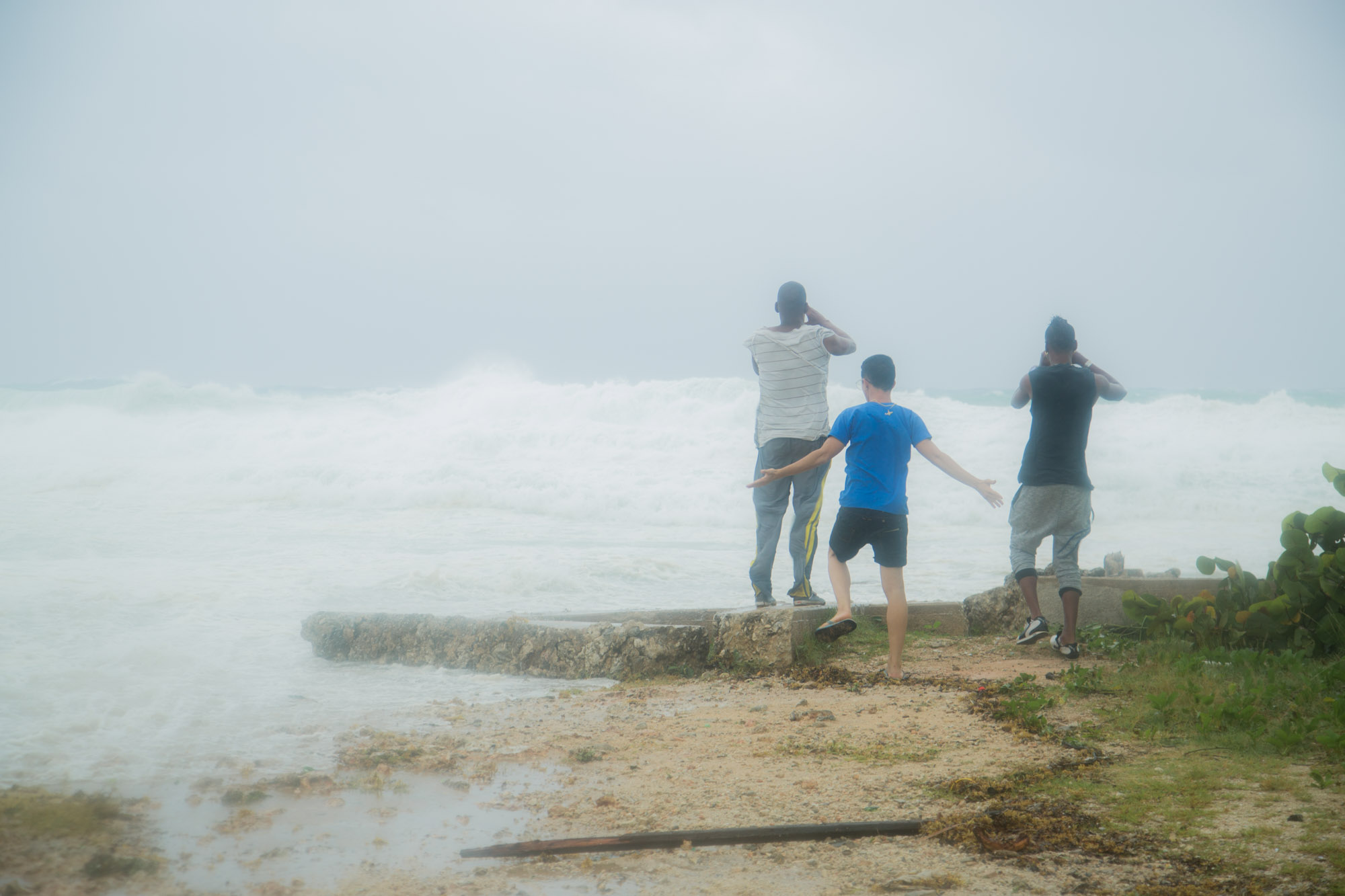 irma en alamar