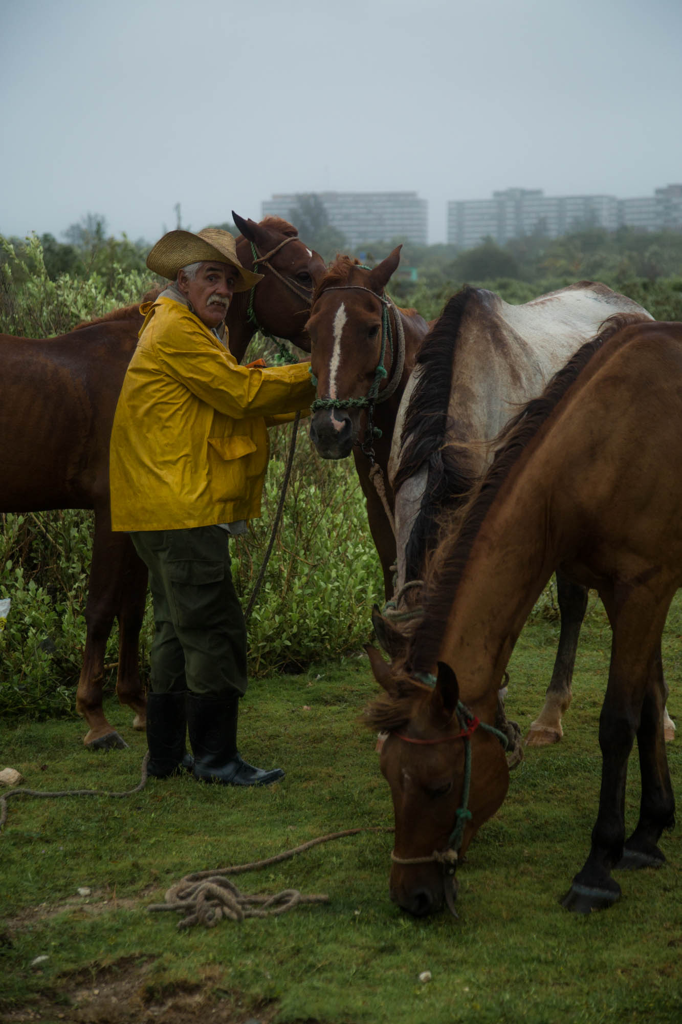 Un campesino deja a sus caballos comer y refrescarse antes de resguardarlos (Foto: Jorge Ricardo)