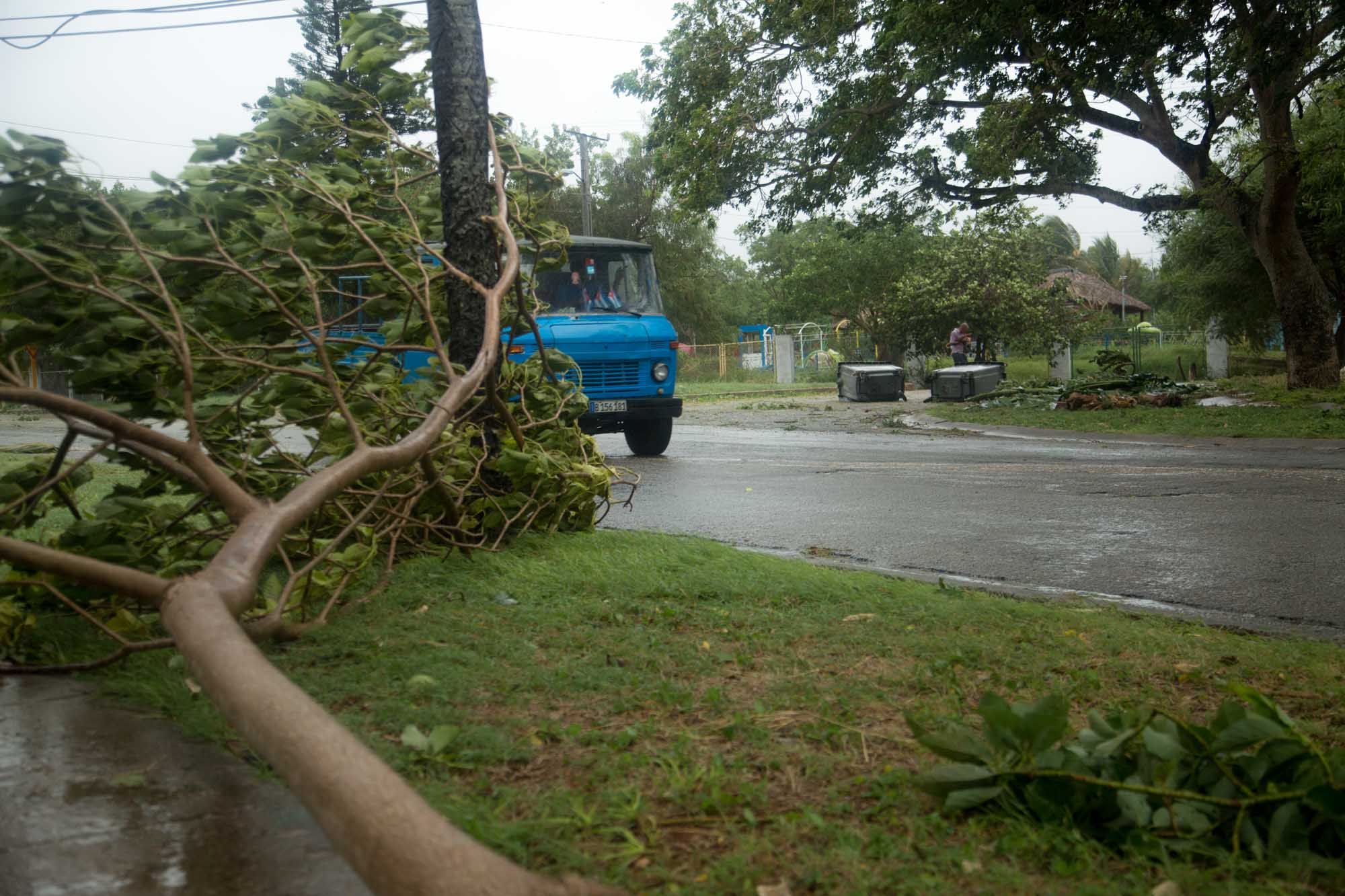 El azote del viento en el Parque José Martí de la Zona 1 (Foto: Jorge Ricardo)