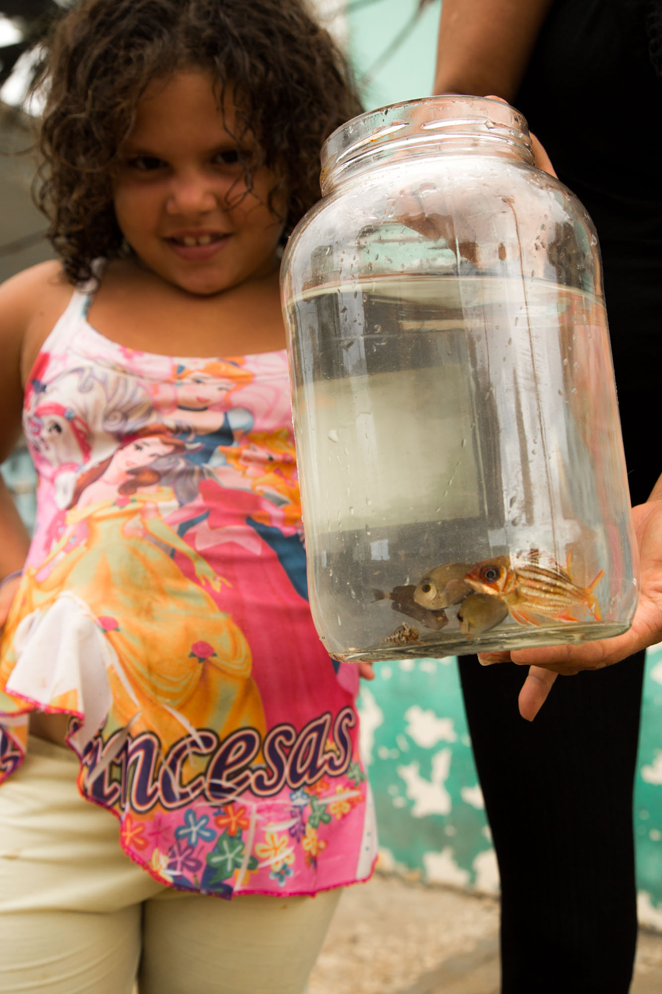 Peces de ciudad (Foto: Jorge Ricardo)