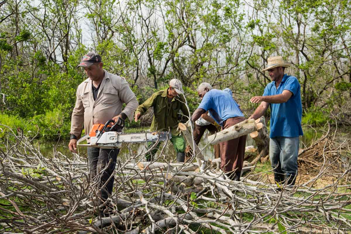 Parque Nacional de Cáguanes tras el paso del huracán Irma (Foto: Jorge Ricardo)