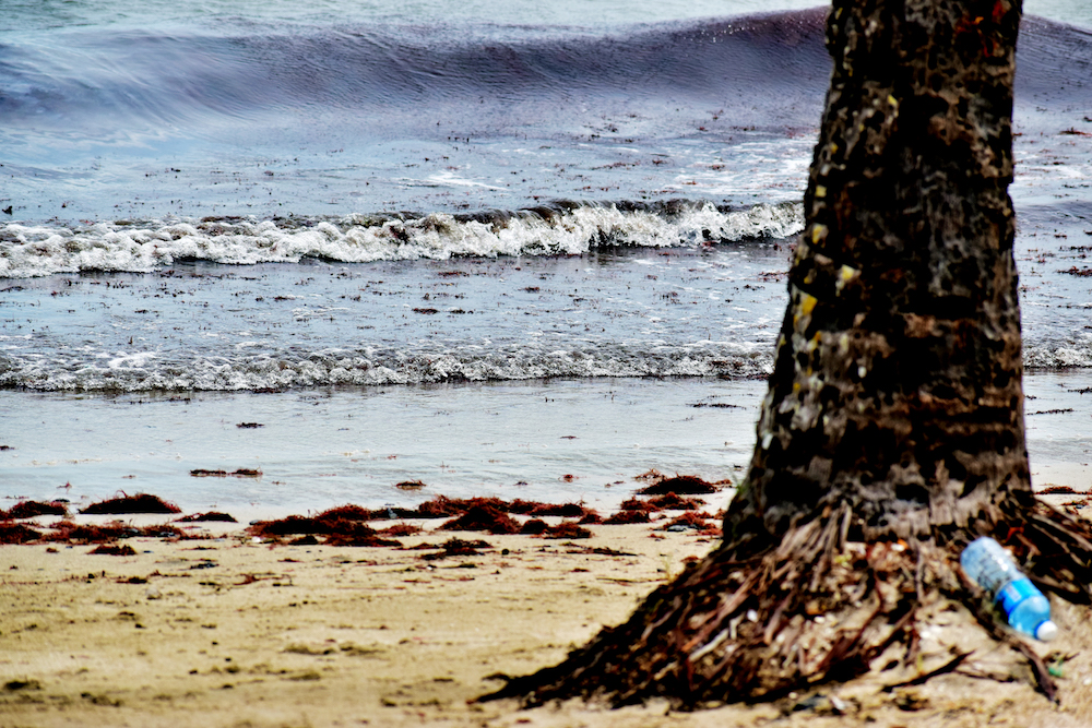 La estela de petróleo recaló en la playa de Los Pinitos, nombrada ahora ofcialmente como “El Judío”