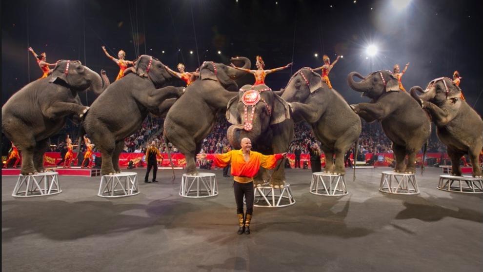 Nueva York prohíbe los animales salvajes en espectáculos de circo (Foto: La Vanguardia)