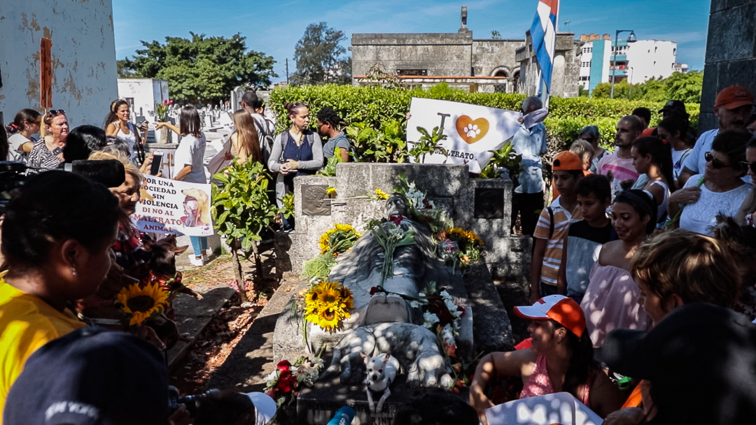 Desde hace años, esta caminata contra el maltrato animal se realiza en abril, en honor a Jeannette Ryder, una filántropa estadounidense cuyo perro está enterrado en un nicho a sus pies (Foto: Ismario Rodríguez).