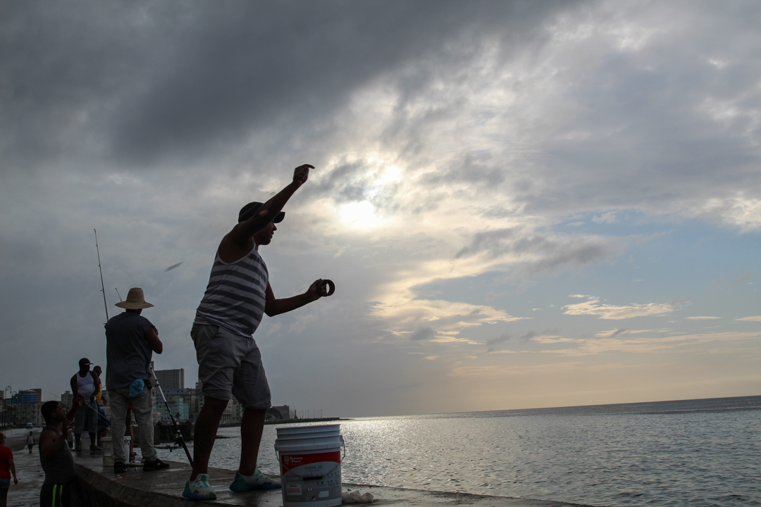 En 1989, el consumo de pescado per cápita en Cuba era de 16 kilogramos al año. 