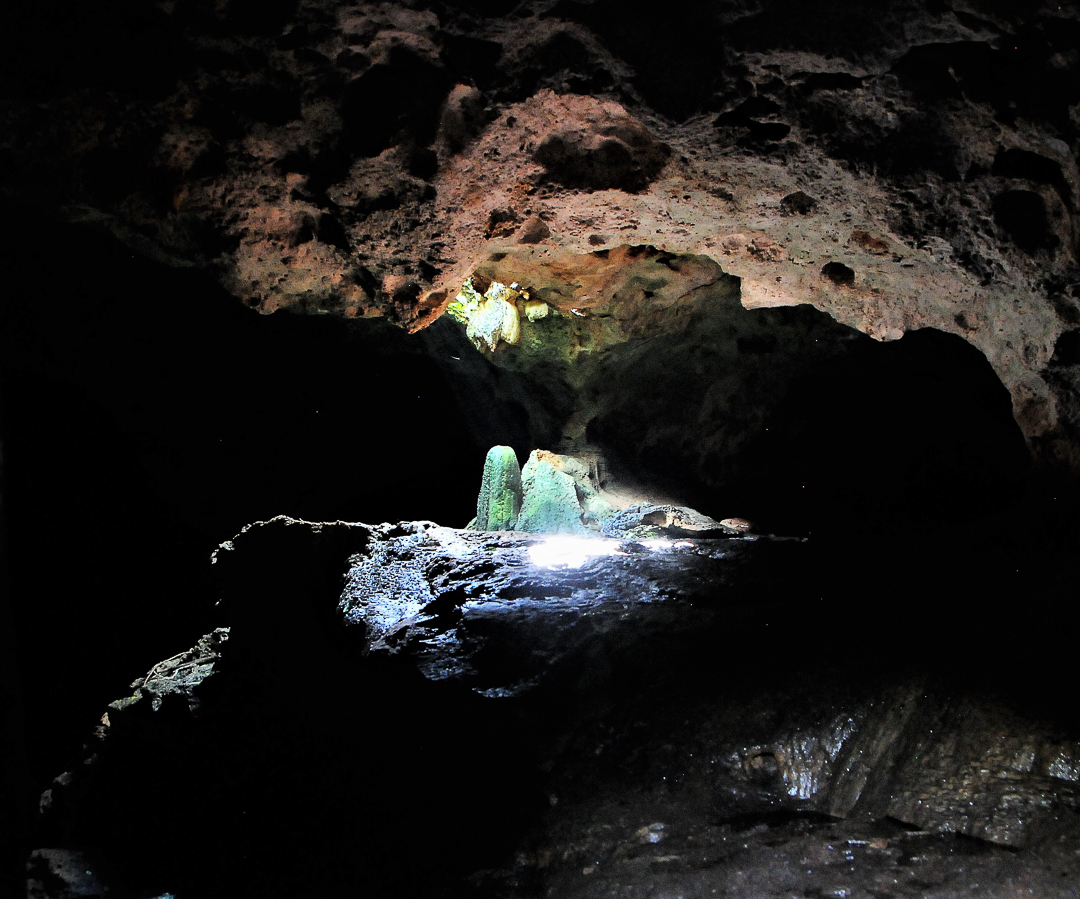 Salida Este en cueva La Barca, Parque Nacional Guanahacabibes. Foto tomada durante una expedición de monitoreo al Parque Nacional Guanahacabibes. Agradecimientos a EDGE Fellows program, ZSL y la Fundación Segré (Foto: Jose Manuel de la Cruz Mora).