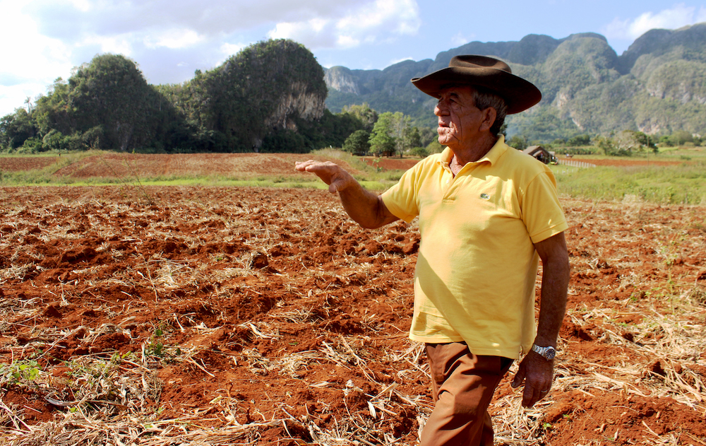 Luis Morales no conoce otra profesión que la de ser campesino (Foto: Alba León Infante)