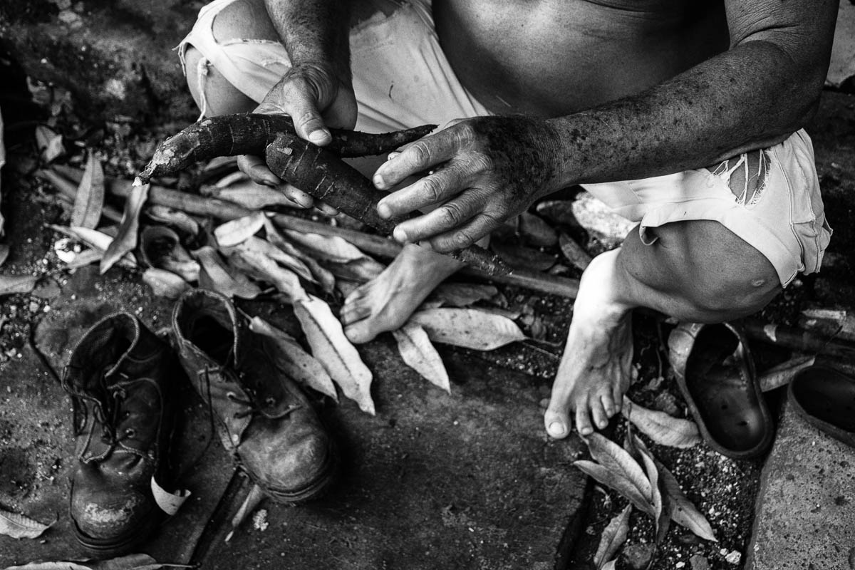 Había sacado algunas yucas de los quince pequeños surcos al fondo de su casa. Todavía no estaban óptimas, pero es su vianda preferida. Quería perfeccionar una vieja receta que le recordó su padre, y que comió mucho durante el llamado Periodo Especial de los años 90: el casabe (Foto: Sadiel Mederos Bermúdez).