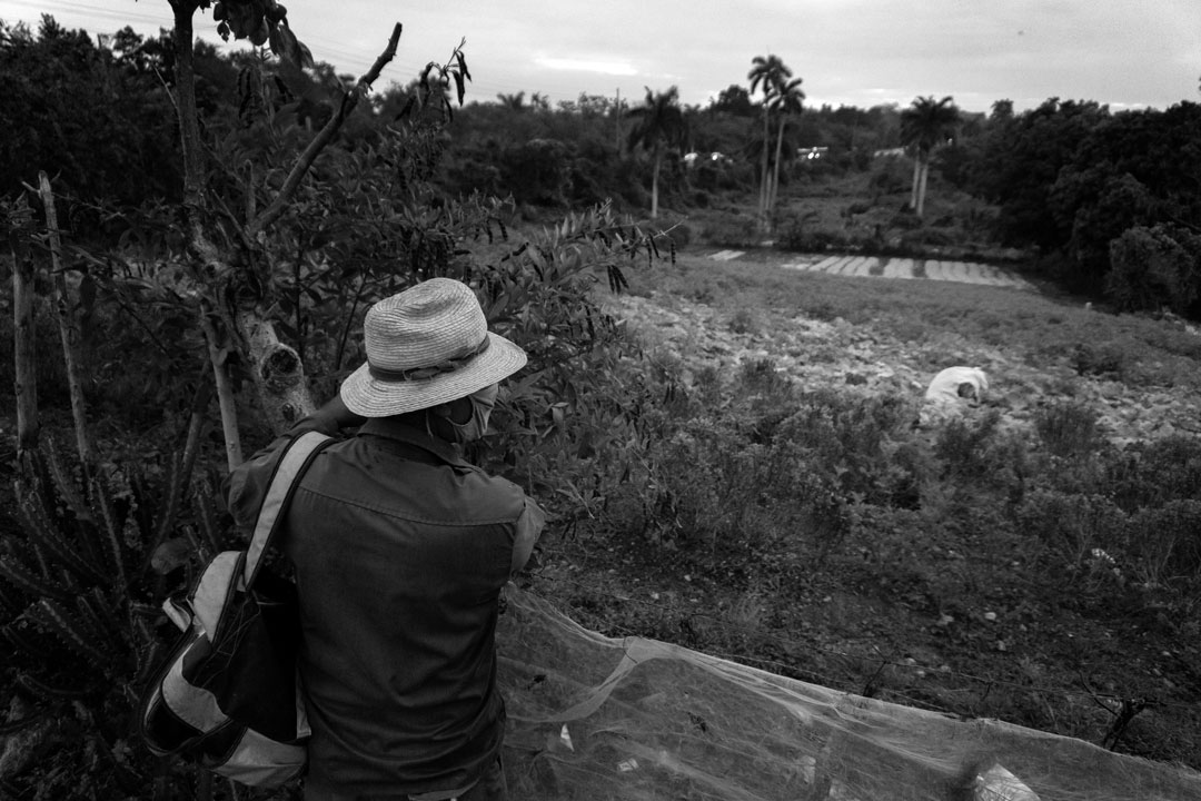 Entrada a la finca (Foto: Chris Erland).