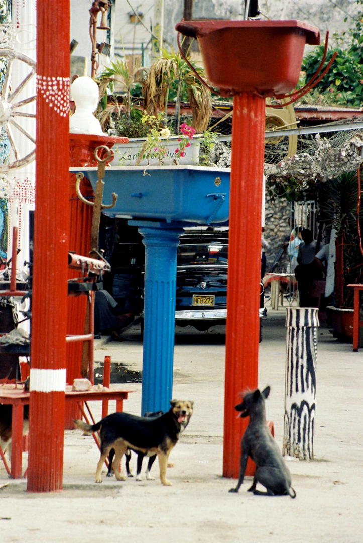 Callejón de Hamel (Foto: Margarita Fresco Crespo)