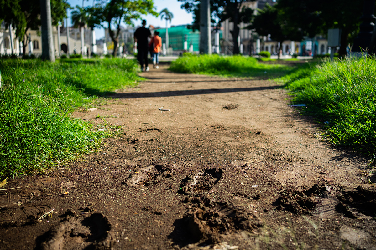 “La guardarraya la hizo la gente pasando por ahí, antes era pura hierba cortadita” (Foto: Alina Sardiñas).