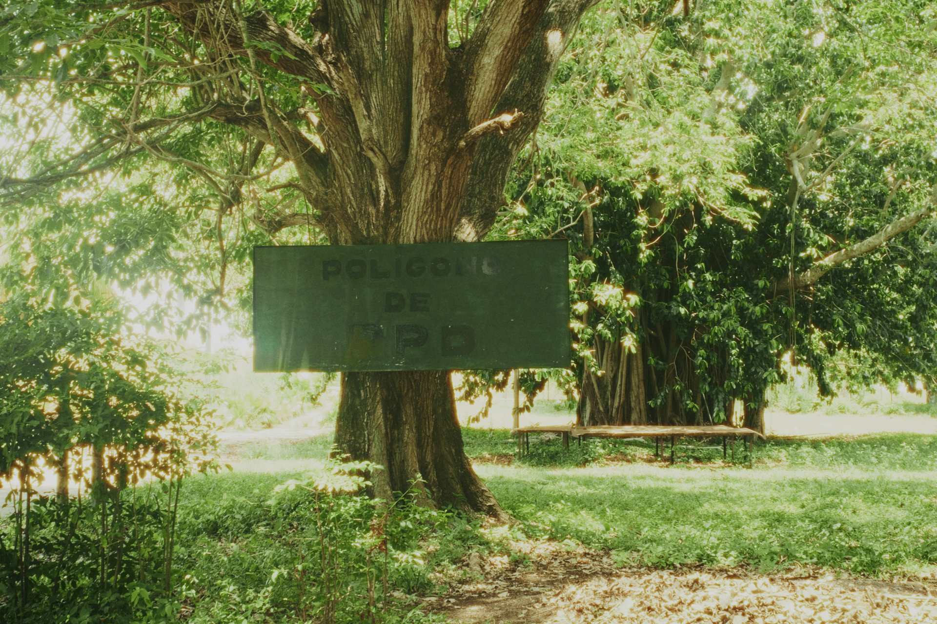 Letrero que dice "Polígono de PPD" colgado de un árbol en Ceiba 1.