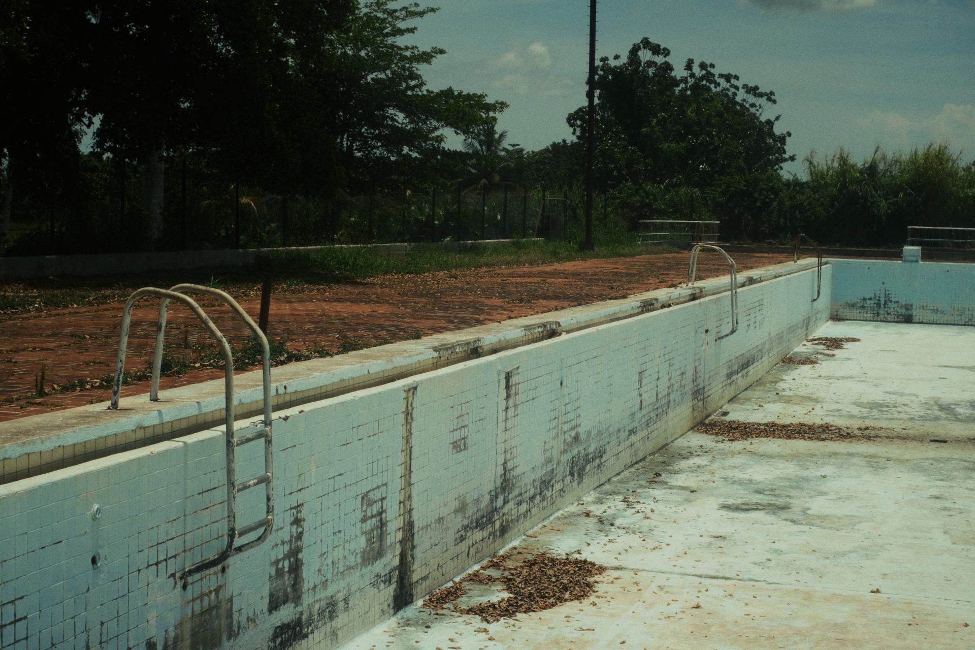 Piscina vacía y deteriorada en Ceiba 1, con azulejos desgastados y vegetación alrededor.