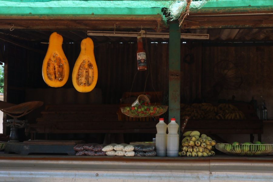 Puesto de venta en un agromercado cubano con calabazas colgadas, plátanos, frijoles y otros productos locales, algunos de los cuales pueden utilizarse en la alimentación infantil con el método Baby-Led Weaning.