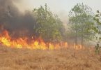 incendios forestales en cuba